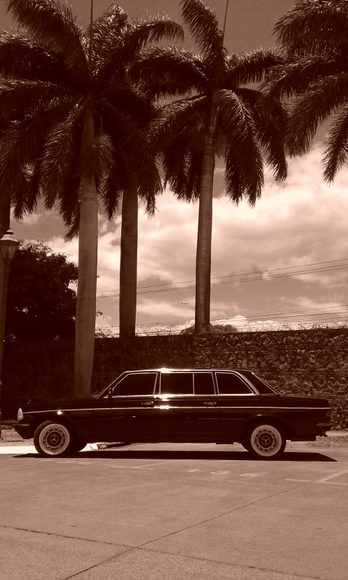 2244db5faaa79cefd07e9766dd101f04.jpg