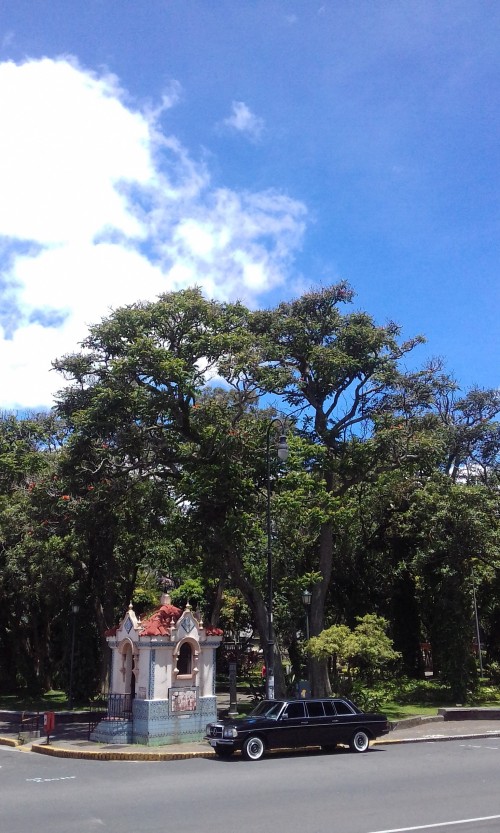 Parque Espaa Park, Costa Rica CITY TOURS IN MERCEDES W123 300D LIMOUSINE
