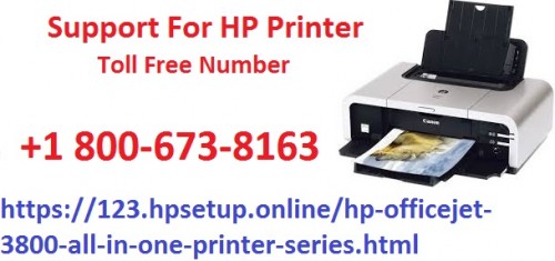 printer 3800 url