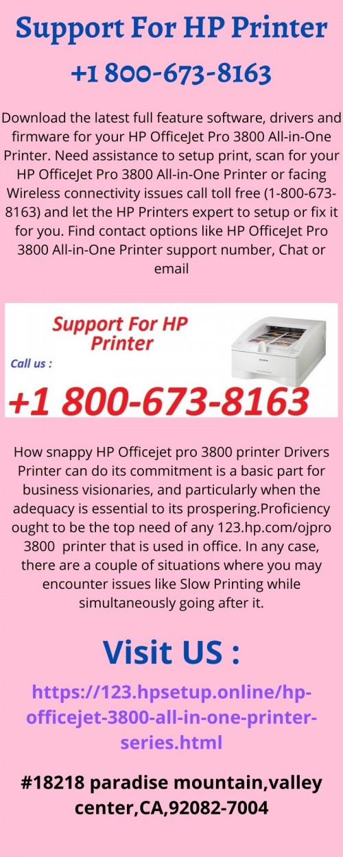 printer 3800 infographic