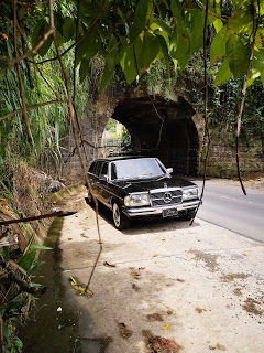 a2f3dda55bc43bcc83b8c13a2822fd16.jpg