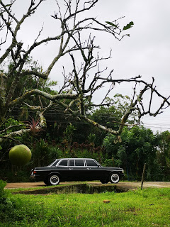 d9787ef8cbcdf94df66da89d22858cb0.jpg