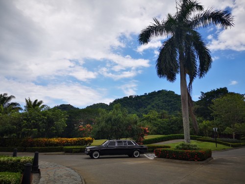 COSTA RICA LARGE PALM TREE AND MERCEDES LIMOUSINE