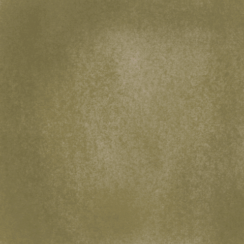 f72b4f4cbcead3cf9f3322cfe749a481.gif